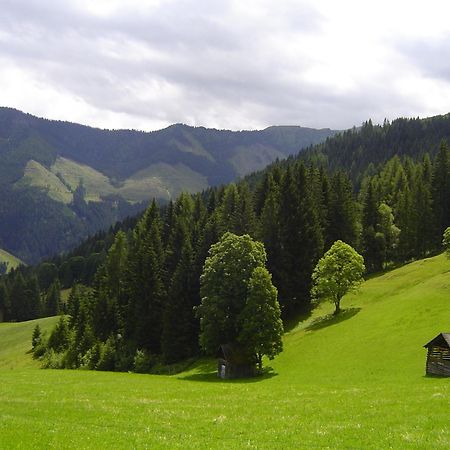 Kirchenbichlerhof Villa Pruggern Eksteriør billede