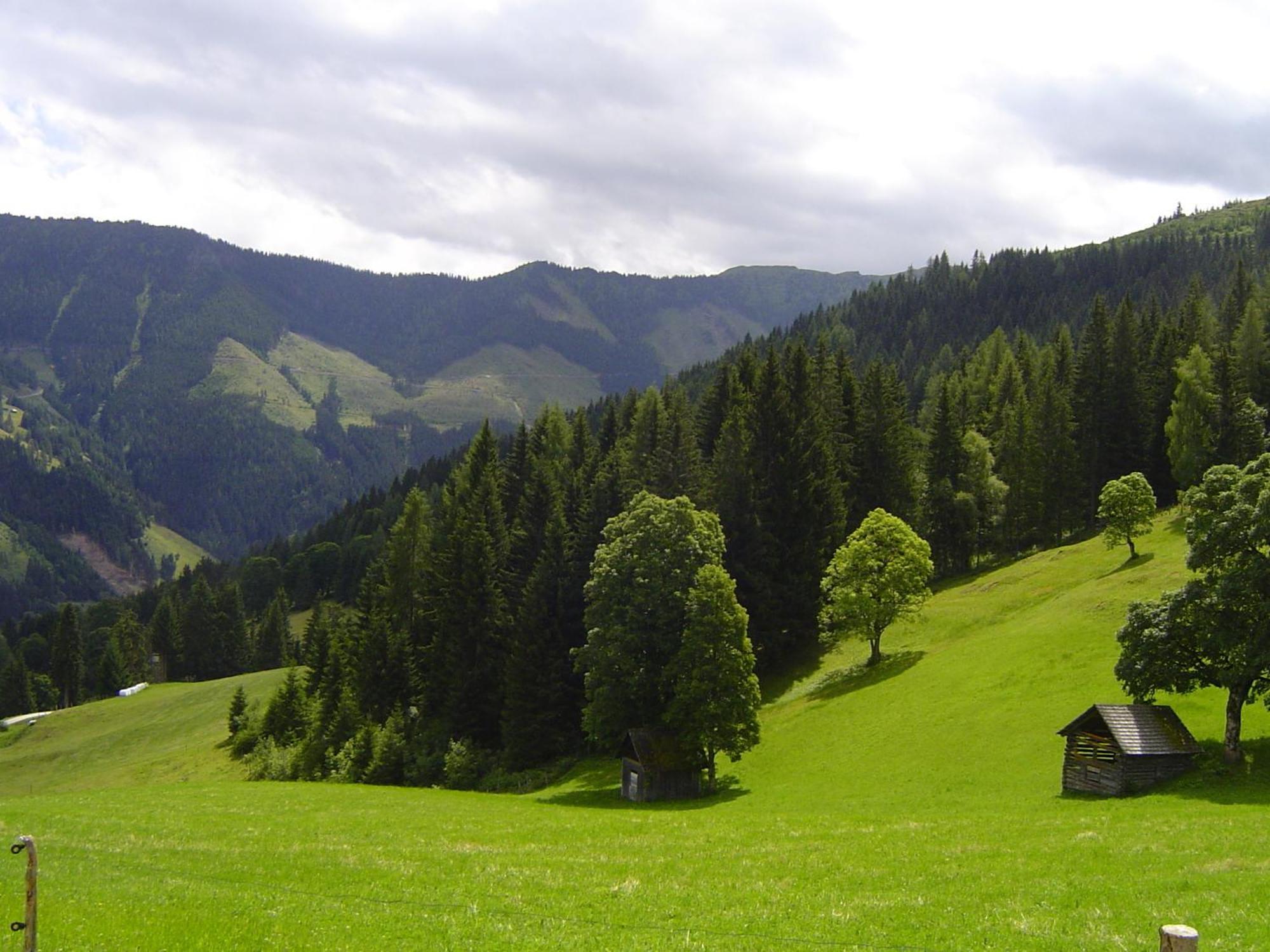 Kirchenbichlerhof Villa Pruggern Eksteriør billede